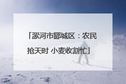 漯河市郾城区：农民抢天时 小麦收割忙