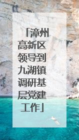 漳州高新区领导到九湖镇调研基层党建工作