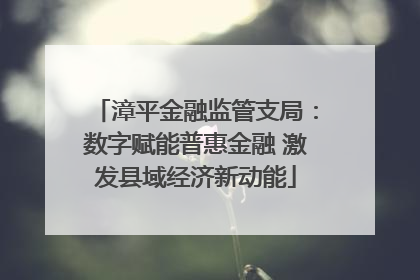 漳平金融监管支局：数字赋能普惠金融 激发县域经济新动能