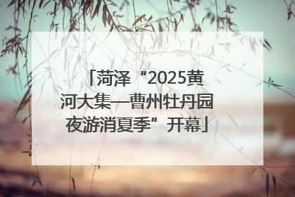 菏泽“2025黄河大集—曹州牡丹园夜游消夏季”开幕