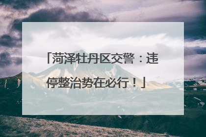 菏泽牡丹区交警：违停整治势在必行！
