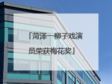 菏泽一柳子戏演员荣获梅花奖