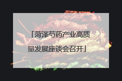 菏泽芍药产业高质量发展座谈会召开