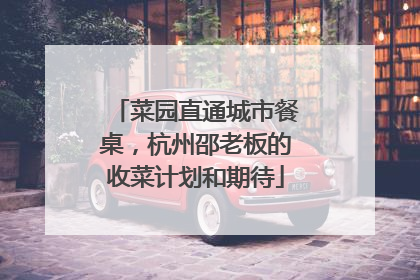 菜园直通城市餐桌，杭州邵老板的收菜计划和期待
