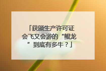 获颁生产许可证 会飞又会游的“鲲龙”到底有多牛？