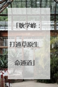 耿学峰：打通草原生命通道