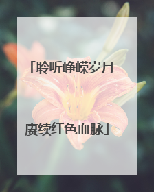 聆听峥嵘岁月 赓续红色血脉
