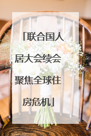 联合国人居大会续会聚焦全球住房危机