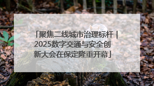 聚焦二线城市治理标杆｜2025数字交通与安全创新大会在保定隆重开幕