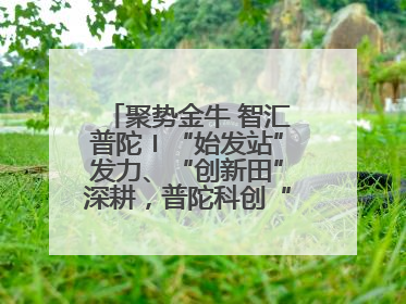 聚势金牛 智汇普陀〡“始发站”发力、“创新田”深耕，普陀科创“金牛”闪耀