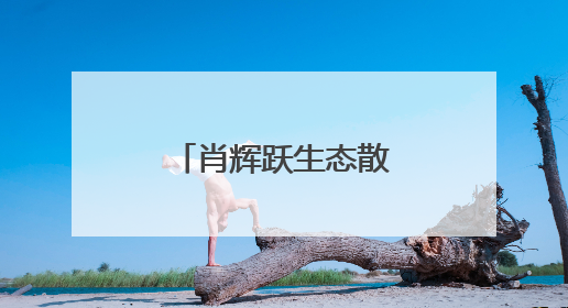 肖辉跃生态散文集《醒来的河流》交流会在湖南图书馆举行
