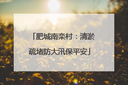 肥城南栾村：清淤疏堵防大汛保平安