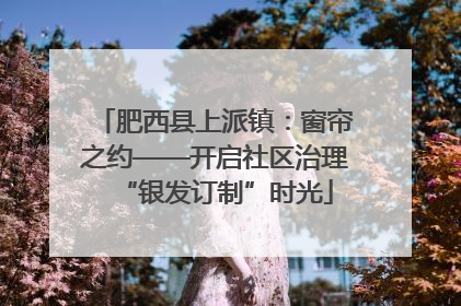 肥西县上派镇：窗帘之约——开启社区治理“银发订制”时光