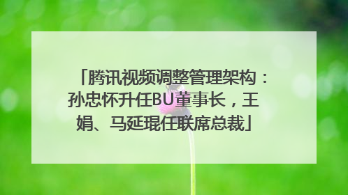 腾讯视频调整管理架构：孙忠怀升任BU董事长，王娟、马延琨任联席总裁