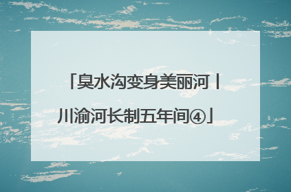 臭水沟变身美丽河丨川渝河长制五年间④
