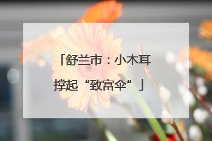 舒兰市：小木耳撑起“致富伞”