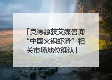 良德源获艾媒咨询“中国火锅虾滑”相关市场地位确认