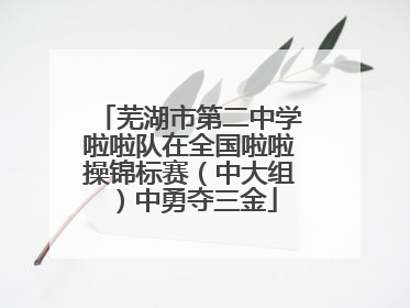 芜湖市第二中学啦啦队在全国啦啦操锦标赛（中大组）中勇夺三金