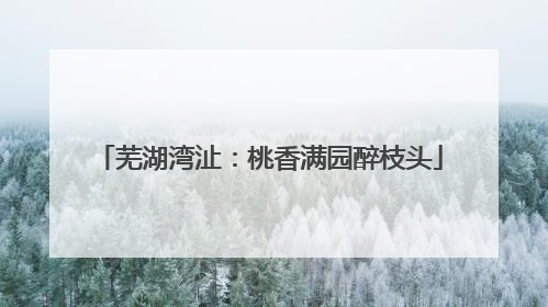 芜湖湾沚：桃香满园醉枝头