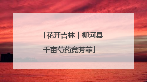 花开吉林｜柳河县千亩芍药竞芳菲