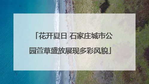 花开夏日 石家庄城市公园萱草盛放展现多彩风貌