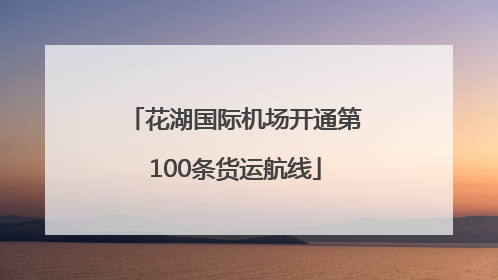 花湖国际机场开通第100条货运航线