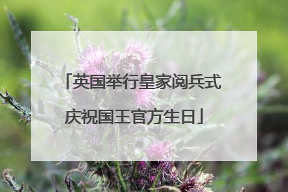 英国举行皇家阅兵式庆祝国王官方生日