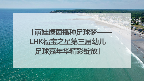 萌娃绿茵播种足球梦——LHK福宝之星第三届幼儿足球嘉年华精彩绽放