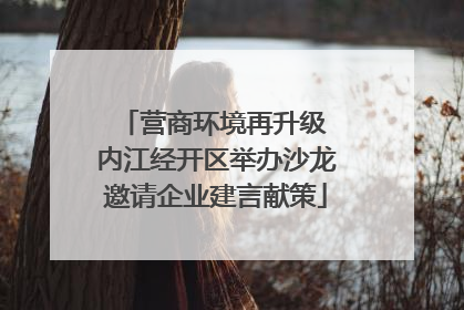 营商环境再升级 内江经开区举办沙龙邀请企业建言献策