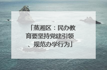 蒸湘区：民办教育要坚持党建引领、规范办学行为