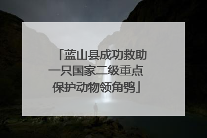 蓝山县成功救助一只国家二级重点保护动物领角鸮