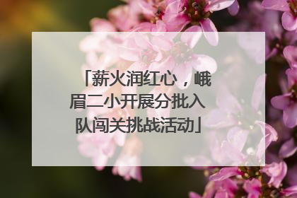 薪火润红心，峨眉二小开展分批入队闯关挑战活动