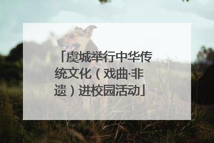 虞城举行中华传统文化（戏曲·非遗）进校园活动