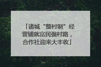 诸城“整村制”经营铺就富民强村路，合作社迎来大丰收