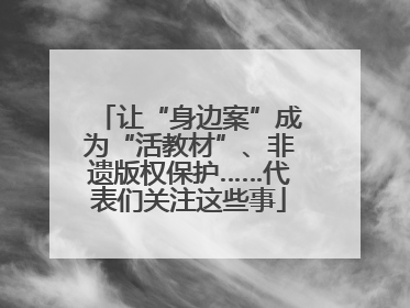让“身边案”成为“活教材”、非遗版权保护……代表们关注这些事