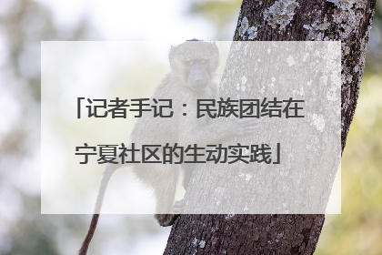 记者手记：民族团结在宁夏社区的生动实践