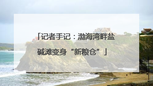 记者手记：渤海湾畔盐碱滩变身“新粮仓”