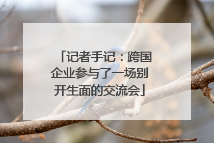 记者手记：跨国企业参与了一场别开生面的交流会