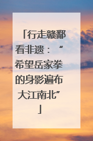 行走赣鄱看非遗：“希望岳家拳的身影遍布大江南北”