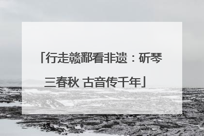 行走赣鄱看非遗：斫琴三春秋 古音传千年