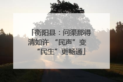 衡阳县：问渠那得清如许 “民声”变“民生”更畅通