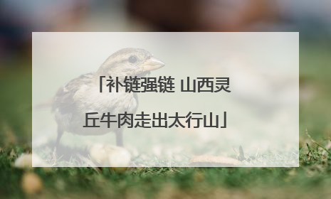补链强链 山西灵丘牛肉走出太行山