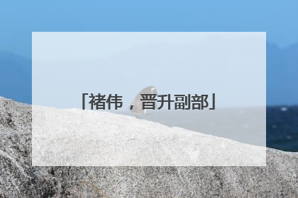 褚伟，晋升副部