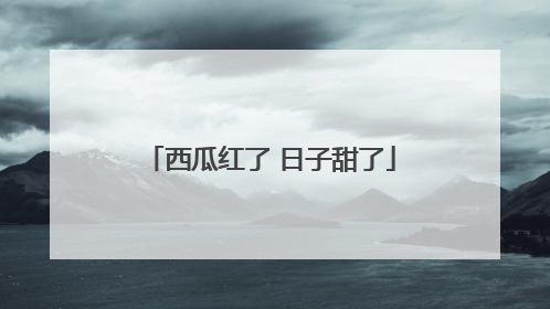 西瓜红了 日子甜了