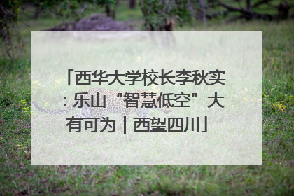 西华大学校长李秋实：乐山“智慧低空”大有可为｜西望四川