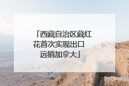 西藏自治区藏红花首次实现出口 远销加拿大