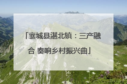 襄城县湛北镇：三产融合 奏响乡村振兴曲