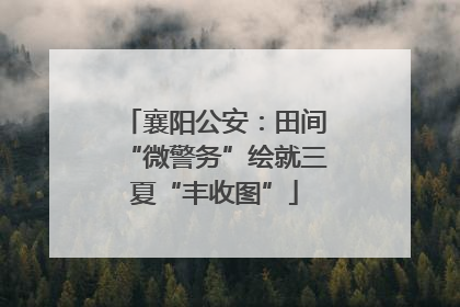 襄阳公安：田间“微警务”绘就三夏“丰收图”