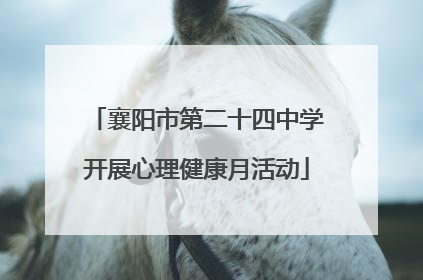 襄阳市第二十四中学开展心理健康月活动