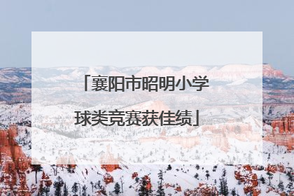 襄阳市昭明小学球类竞赛获佳绩